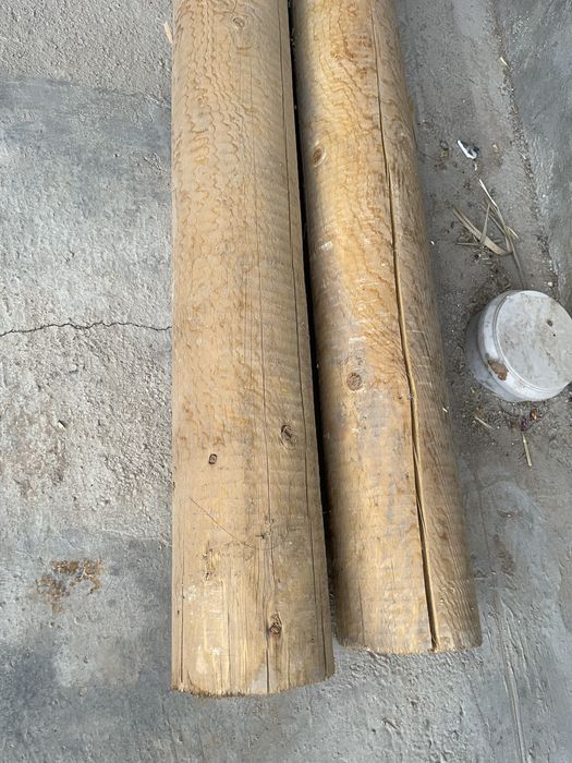 Сасна дарахтидан тайёрланган махсулотлар