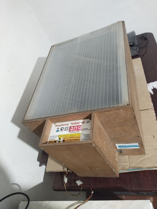 Продам Инкубатор и цыплят