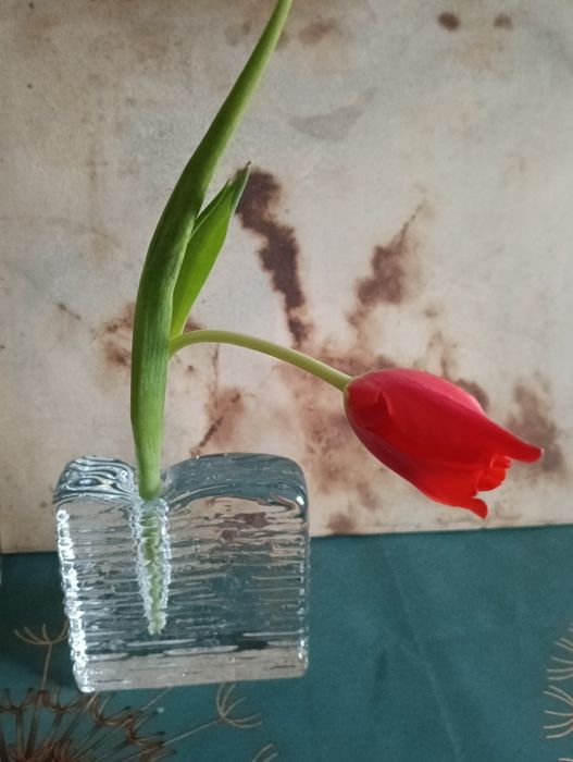 Vază soliflore Ritzenhoff sticlă grea – design modernist