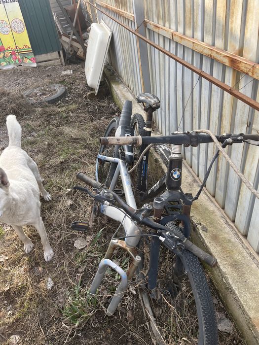 Велик для парней