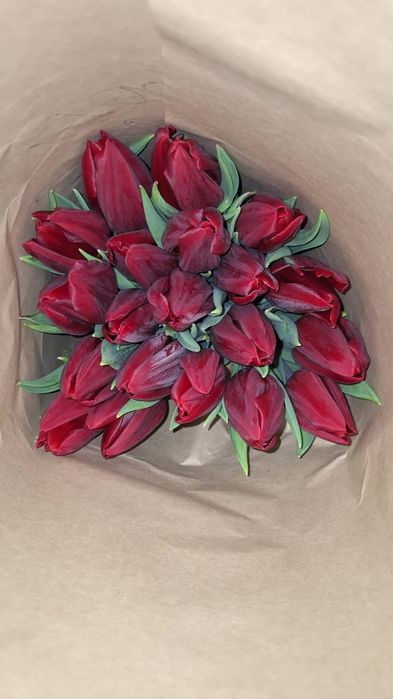 Тюльпаны оптом и в розницу на 8 марта