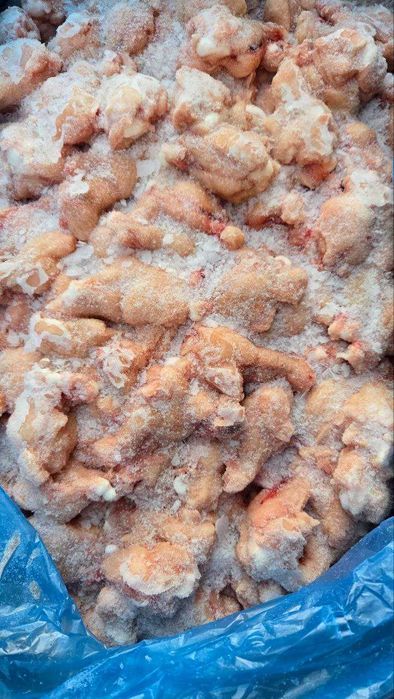 Крыло ЦБ плечо и плечо-локоть замороженное