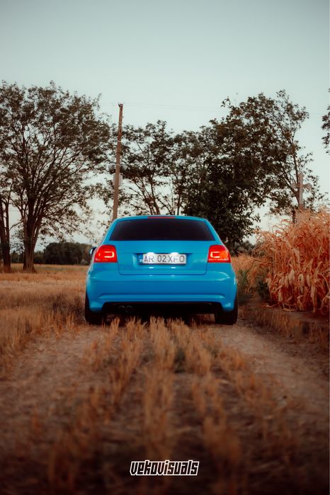 Vand /Schimb Audi A3 8P