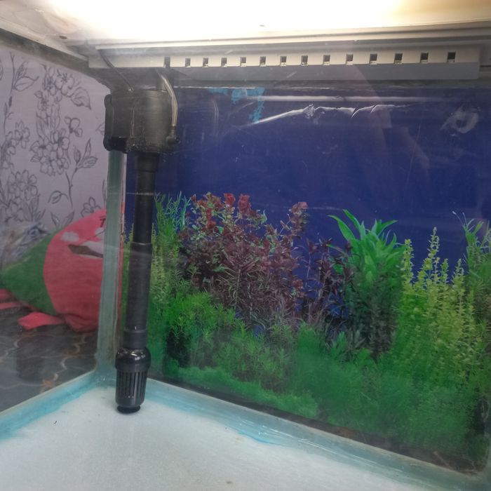 Продам аквариум разные.