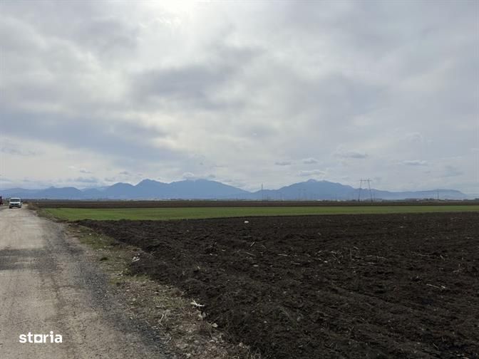 Teren  pentru depozitare sau activitati industriale langa DN 11