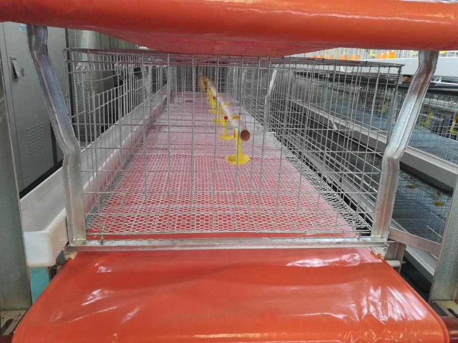 клетки для кур несушек