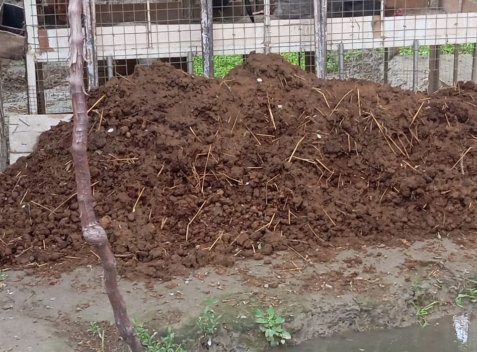 Poru gung ugit moldiki bepul beraman kimga kk bulsa kelib opketsin