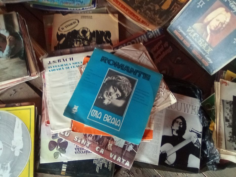 Colecția de volume  Adevarul  și discuri vinil