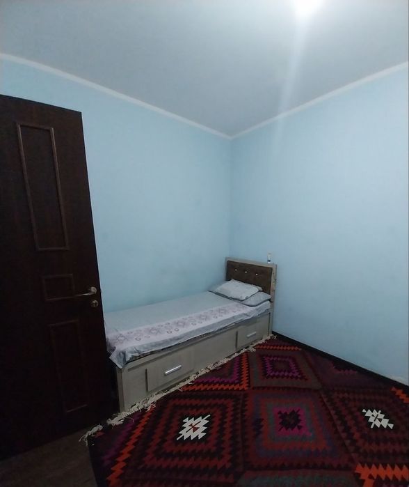 2 sotixli kotej 2017-yilgi