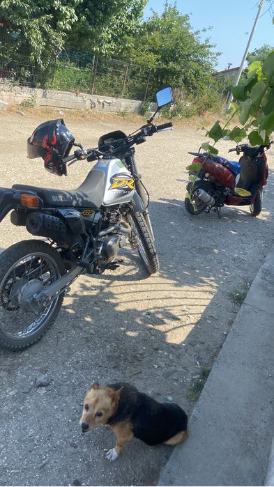 Vand sau schimb motocross mai multe detali pe wapp