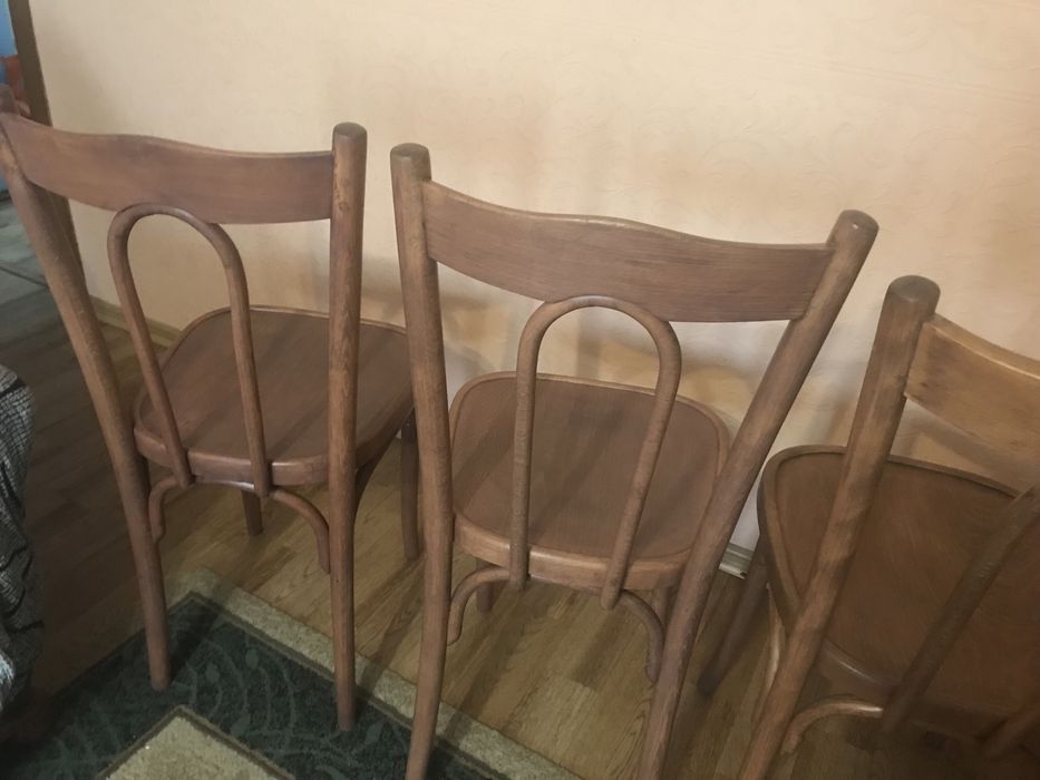 Венские стулья после реставрации