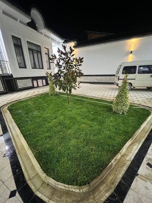 Gazon | chim | автаполив | рулонные газон