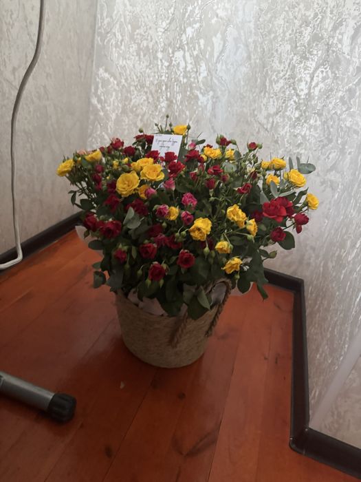 Продам букеты срочно