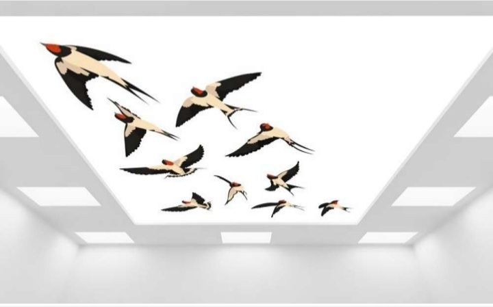 Натяжные потолки