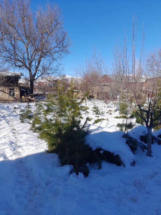 Hovli Uy sotiladi Tovoqsoyda