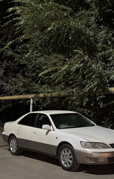 Титанка R16…………………………………………………………………………..