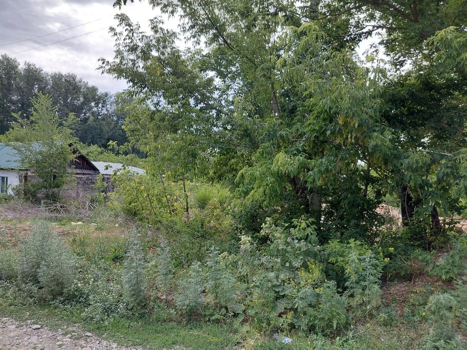 Продам участок в с.Самарское