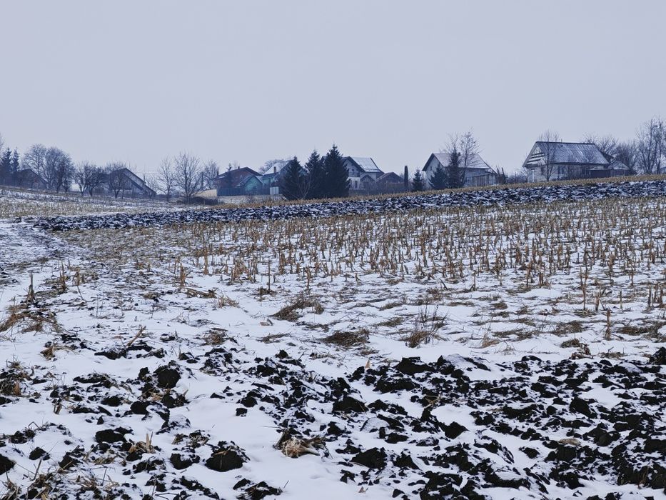 De vânzare teren extravilan în Liteni-Moara