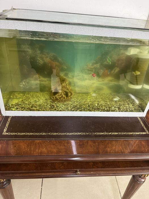 Аквариум 80литров