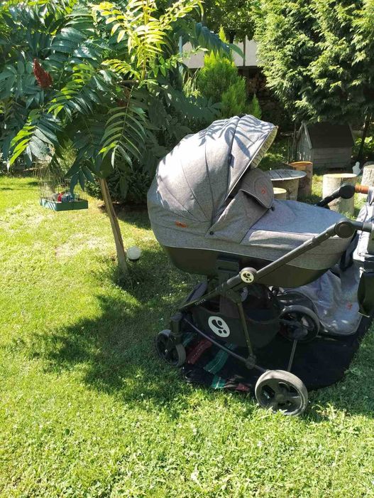 количка Лорели криста