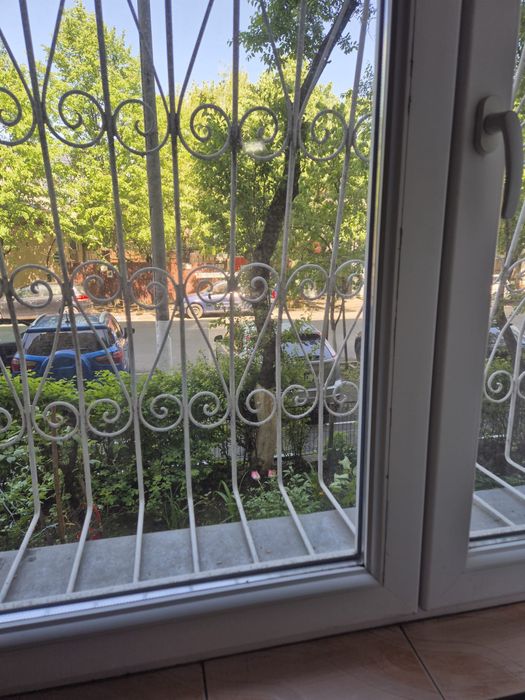 Garsoniera / Teiul Doamnei