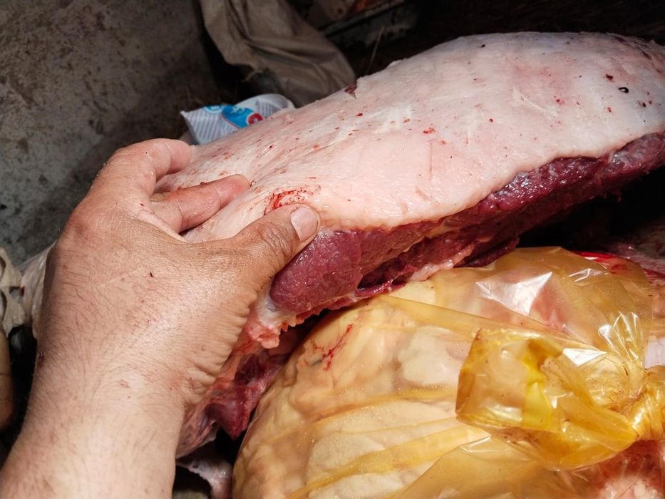 Жылкы еті сатам.с степи