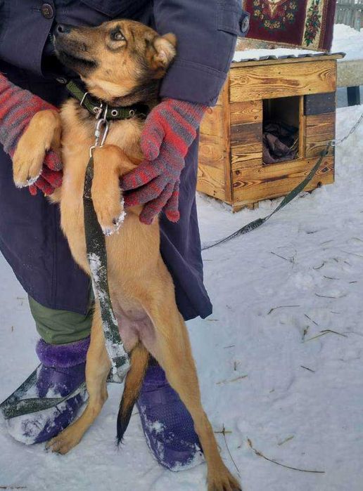 Малышка Броня готова к пристройству