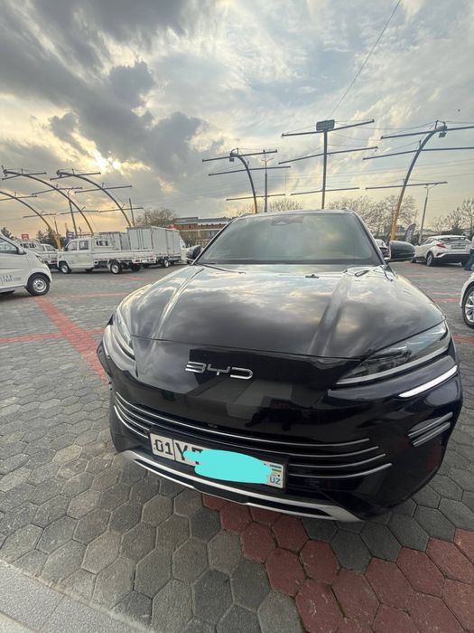 Byd chempion gibrid 2025