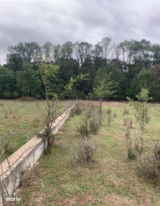 teren intravilan 950 mp lângă pădure Pipera, Oxford Gardens,Ilfov