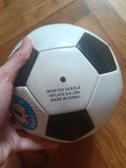 Minge academia hagi semnată