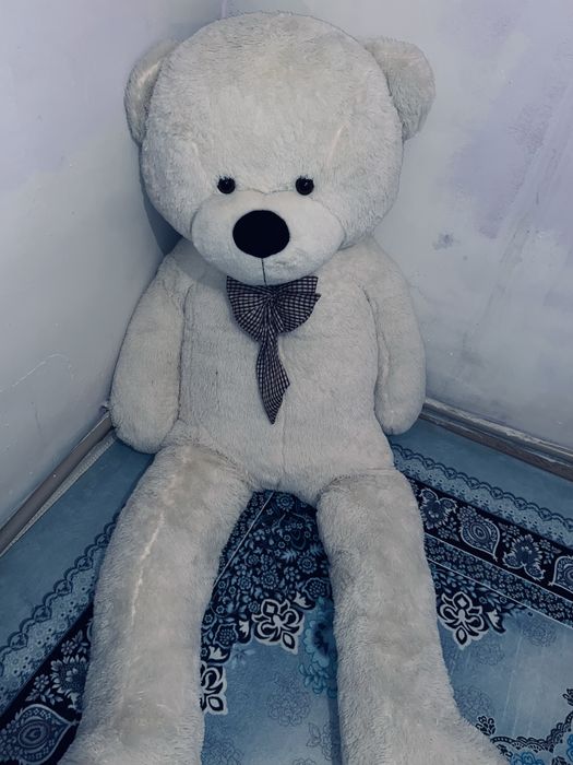 Мишка,дау таза адемы 2метр