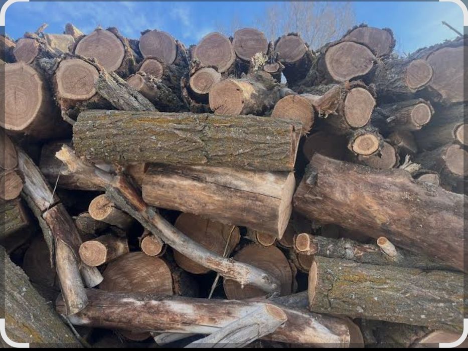 Отын Дрова сатылары