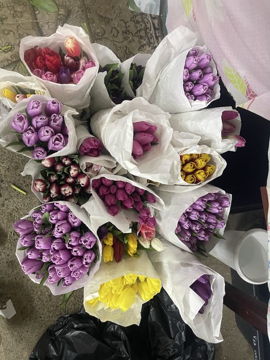 Тюльпаны оптом 350