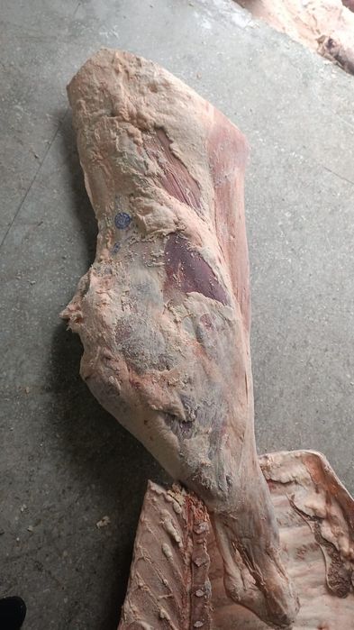 Продам говядину 1 кат