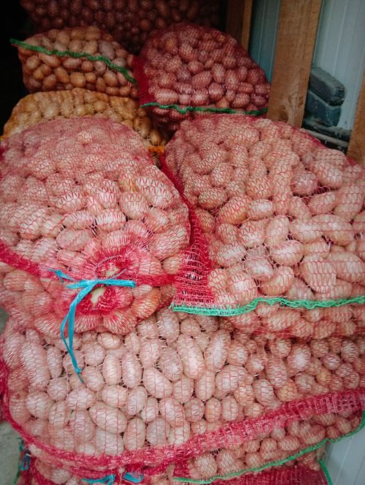 Cartofi pentru animale