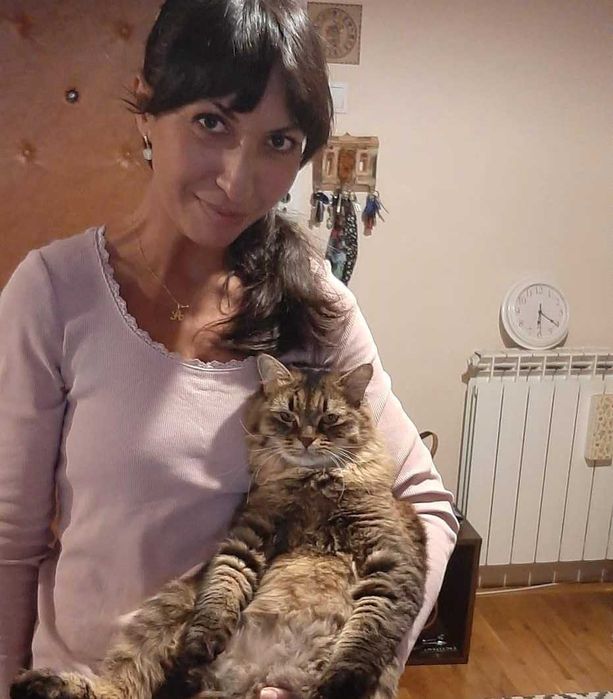 Pet sitter pisici Zona Universitate, Bucuresti
