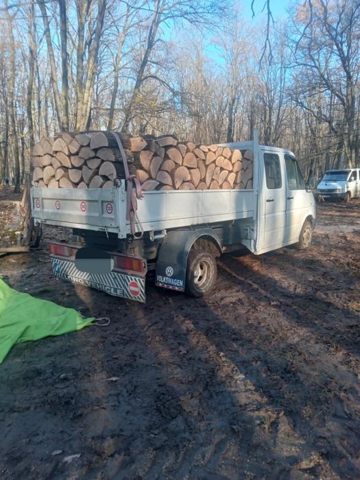 Vand lemne calitate si cantitate