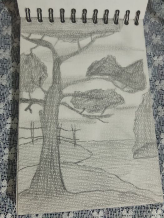 Desene originale manual