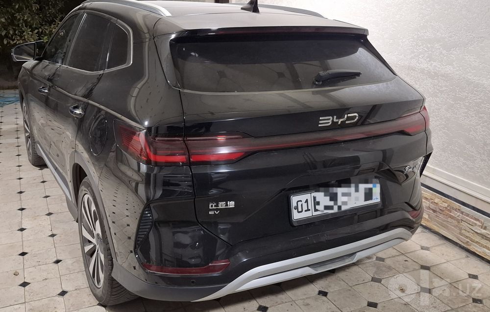 Byd chempion 2024  краска тоза