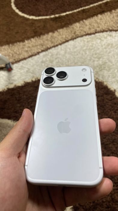 17 pro max e-sim