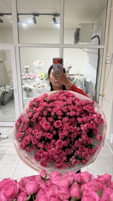 Кустовые розы софия спрейка