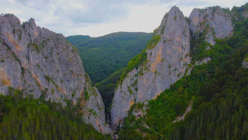 Парцел в село Зелениград, Община Трън