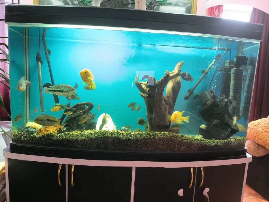 Продам аквариум с рыбками