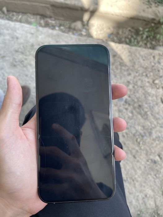 Iphone 13 pro max ideal