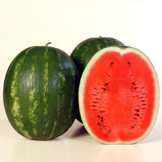 Семена за дини сорт Каристан F1 - Syngenta - 2500 в опаковка