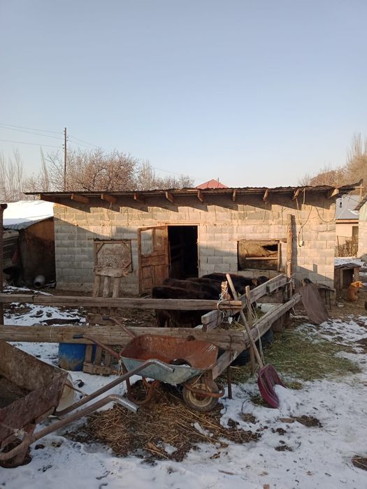 Частный дом ферма