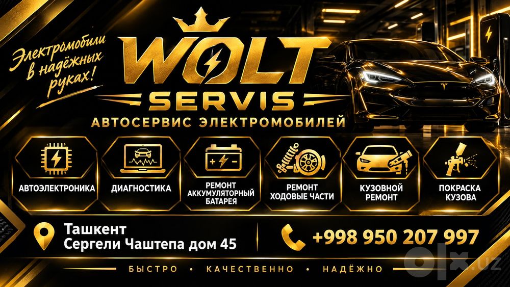 профессиональный сервис для электромобилей