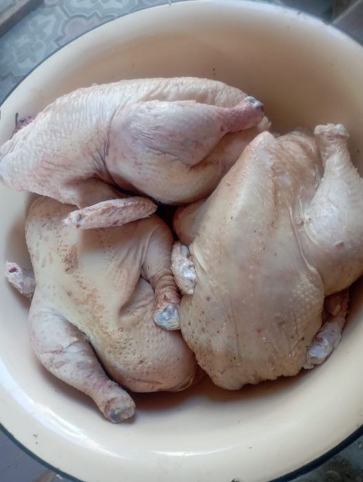 Продам кур бройлеров