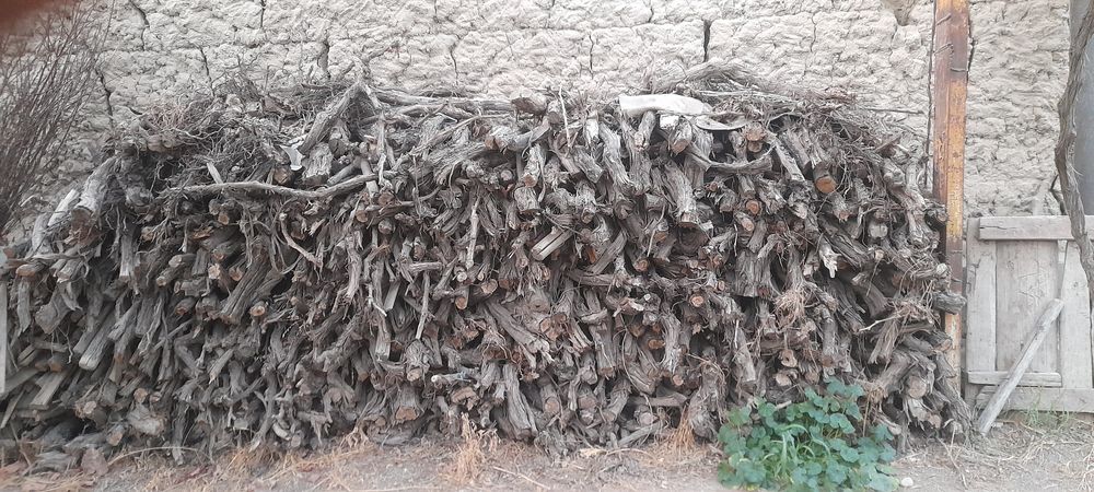 Tayor o'ltin sotiladi