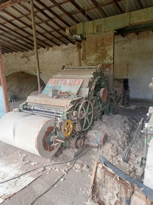 Tayyor biznes paxtasex